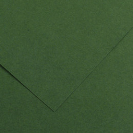 Foglio COLORLINE 70x100 cm 220 gr. 31 Verde abete