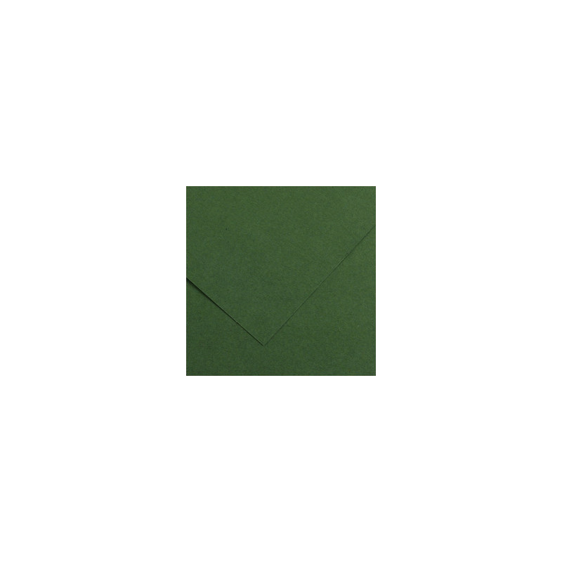 Foglio COLORLINE 70x100 cm 220 gr. 31 Verde abete