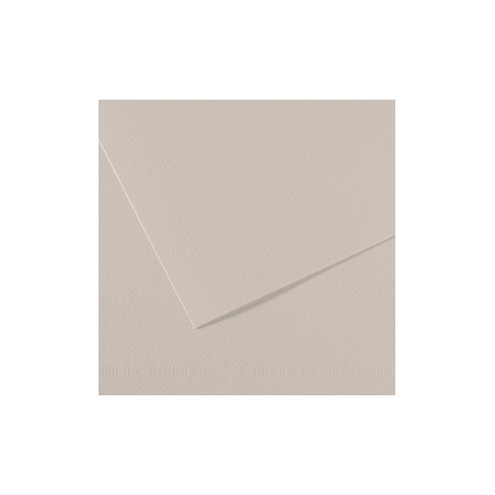 Foglio MI-TEINTES A4 cm 160 gr. 120 grigio perla