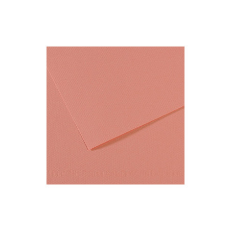 Foglio MI-TEINTES A4 cm 160 gr. 352 rosa scuro