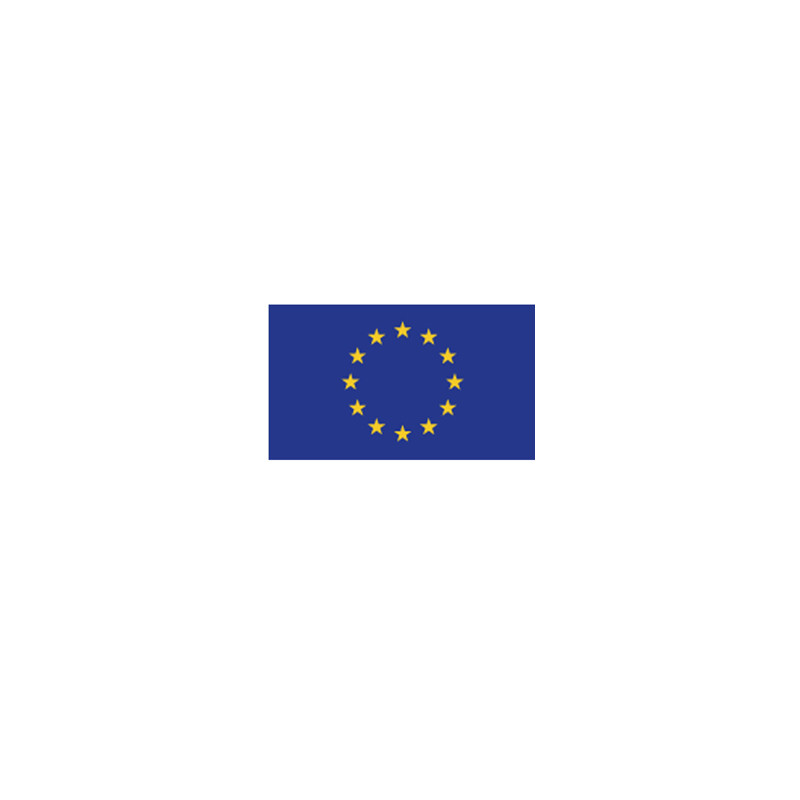 Bandiera EUROPA 100x150cm in poliestere nau