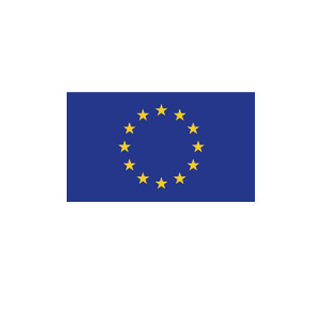 Bandiera EUROPA 100x150cm in poliestere nau