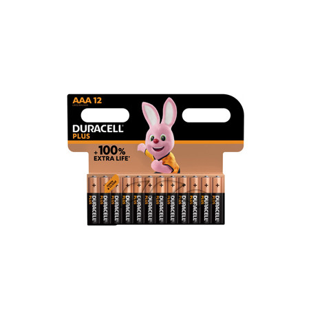 Blister 12 pile Duracell Plus Power - AAA MiniStilo