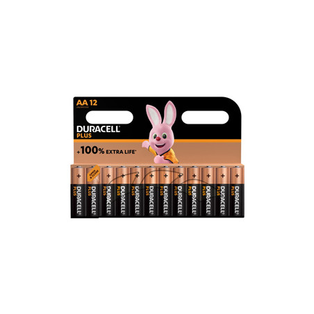 Blister 12 pile Duracell Plus Power - AA Stilo