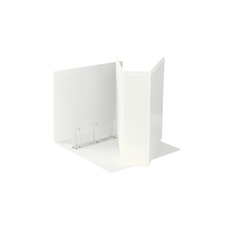 Raccoglitore DISPLAY MAXI 22x30cm 4Q H65mm bianco personalizzabile ESSELTE