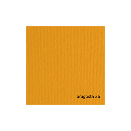 BLISTER 20FG CARTONCINO 50X70 220GR ARAGOSTA 26 FABRIANO ELLE ERRE