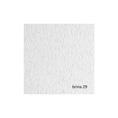 BLISTER 10FG CARTONCINO 70X100 220GR BRINA 129 FABRIANO ELLE ERRE