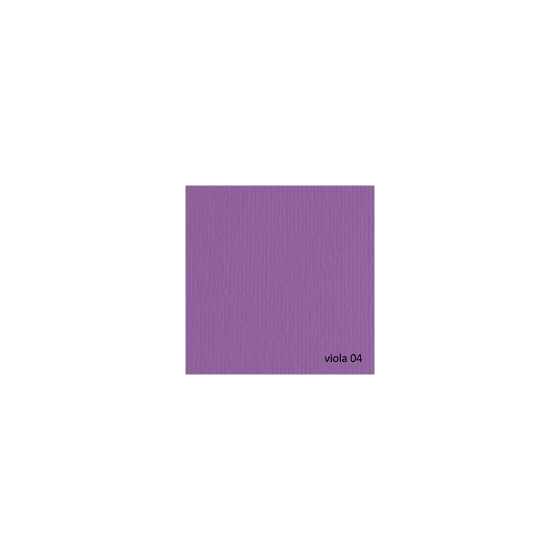 BLISTER 20FG CARTONCINO 50X70 220GR VIOLA 104 FABRIANO ELLE ERRE