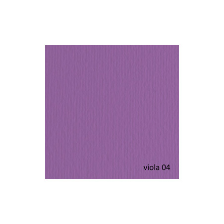 BLISTER 20FG CARTONCINO 50X70 220GR VIOLA 104 FABRIANO ELLE ERRE