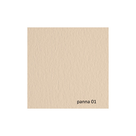 BLISTER 20FG CARTONCINO 50X70 220GR PANNA 101 FABRIANO ELLE ERRE