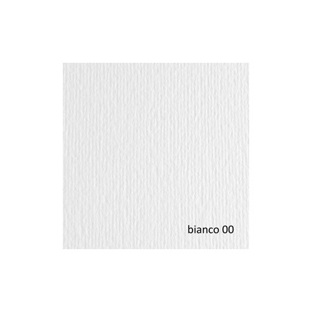 BLISTER 20FG CARTONCINO 50X70 220GR BIANCO 100 FABRIANO ELLE ERRE