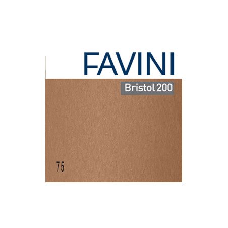 Conf.10 cartoncino Bristol Color 200gr 100x70cm marrone 75 Favini