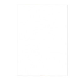 100 Copertine A4 cartoncino groffrato semilpelle 240g bianco