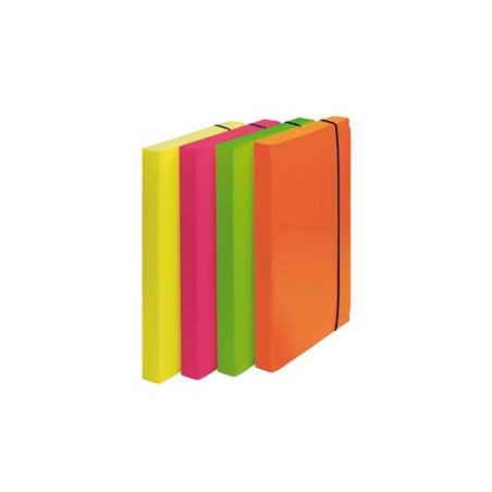 CART. PROGETTO D.3cm CON ELAS  COLORI FLUO SHOCKING FILE