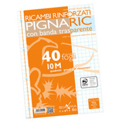 RICAMBI FORATI RINFORZATI A4 10MM 40FG 80GR PIGNARIC