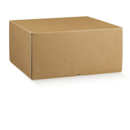 box per gastronomia d'asporto linea Marmotta 30x40x19,5cm avana