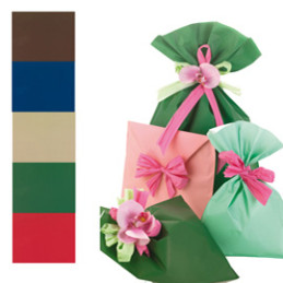 100 BUSTE REGALO IN PPL PERLA MAT 25x40cm assortimento 5 colori