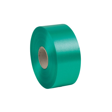 Nastro liscio 6800 50mmx100mt colore verde bandiera 09 Brizzolari