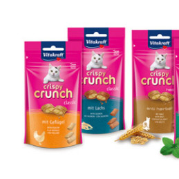Snacks Crispy Crunch Superfood gusto salmone 60gr