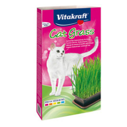 ** END ** ** END ** end* Cat-Gras - Pregiata miscela di semi per gatti